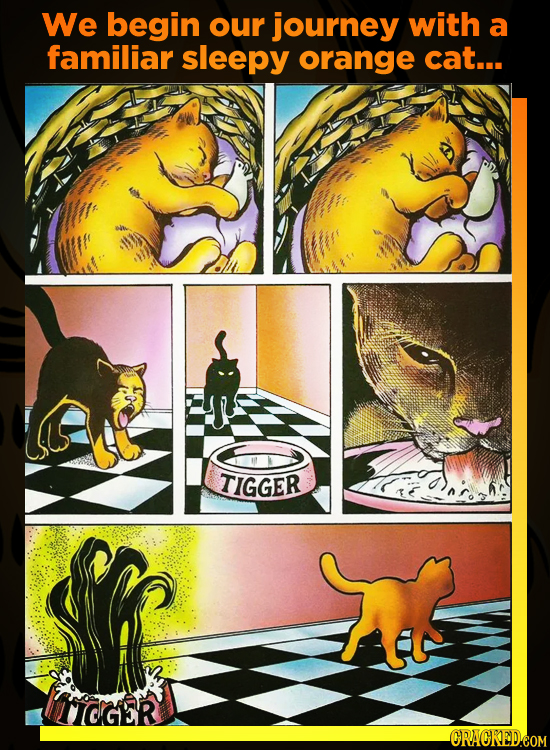 We begin our journey with a familiar sleepy orange cat... TIGGER OGER ORACKEDEOM