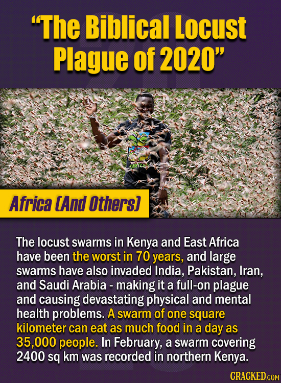 15 Of The Strangest Things 2020 Managed To Cook Up (Part 1) - “The Biblical Locust Plague of 2020” The locust swarms seen in Kenya and East Africa th