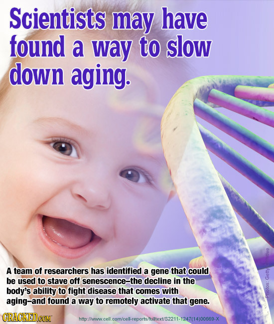Scientists may have found a way to slow down aging. A team of researchers has identified a gene that could be used to stave off senescence-the decline