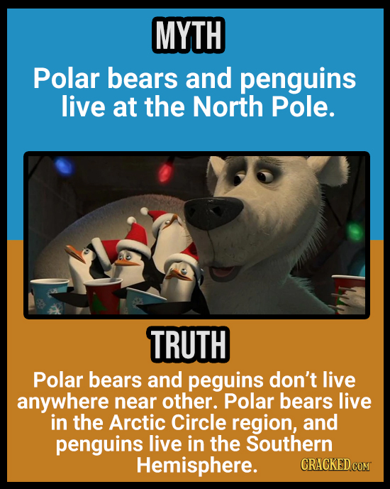 MYTH Polar bears and penguins live at the North Pole. TRUTH Polar bears and peguins don't live anywhere near other. Polar bears live in the Arctic Cir