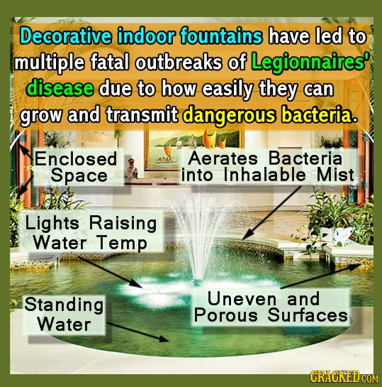 Decorative indoor fountains have led to multiple fatal outbreaks of Legionnaires' disease due to how easily they can grow and transmit dangerous bacte