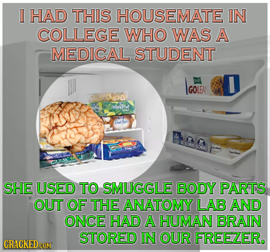 I HAD THIS HOUSEMATE IN COLLEGE WHO WAS A MEDICAL STUDENT IGOLEA GOLEA ohlafret Toit Ra LODKE SHE USED TO SMUGGLE BODY PARTS OUT OF THE ANATOMY LAB AN
