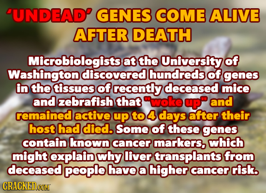 DUNDEAD GENES COME ALIVE AFTER DEATH Microbiologistse at the University of Washington discovered hundreds of genes in the tissues of recently deceased