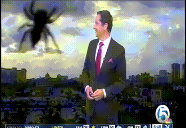 15 Hilarious Moments Accidentally Caught During Live Events