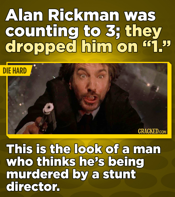 Alan Rickman was counting to 3; they dropped him on 1. DIE HARD CRACKED.COM This is the look of a man who thinks he's being murdered by a stunt director.