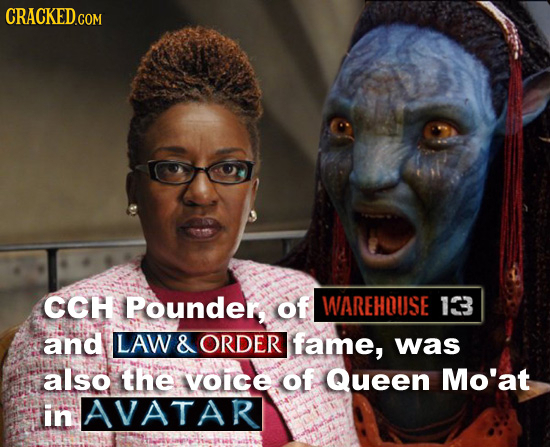 CRACKED.COM CCH Pounder, of WAREHQUSE 18 and LAW & ORDER fame, was also thE oICE of Queen Mo'at in AVATAR