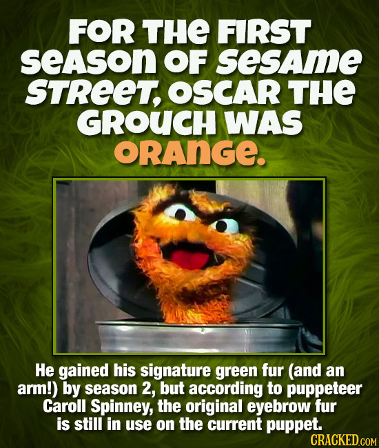 FOR THE FIRST seAson OF sesame STREET, OSCAR THE GROUCH WAS ORANGE. He gained his signature green fur (and an arm!) by season 2, but according to pupp