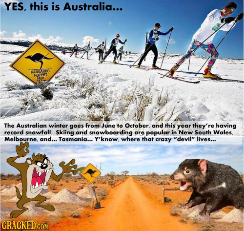 YES, this is Australia... KANGARCN HOPPET HEXT The Australian winter goes from June to October. and this year they're having record snowfall. Skiing a
