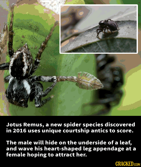 Mind-Blowing But True Things Science Just Found Out