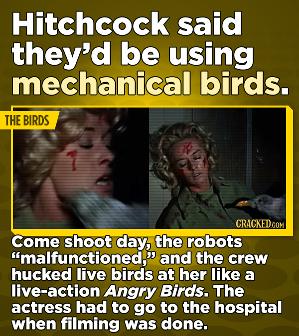 Hitchcock said they'd be using mechanical birds. THE BIRDS Come shoot day, the robots and the crew hucked live birds at her like a live-action Angry Birds. The actress had to go to the hospital when filming was done.