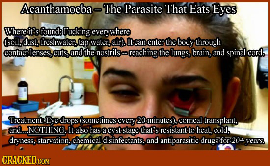 Acanthamoeba The Parasite That Eats Eyes Whereit's: found: Fucking everywhere (soil, dust, freshwater. tap water, air). It can enter. the body through