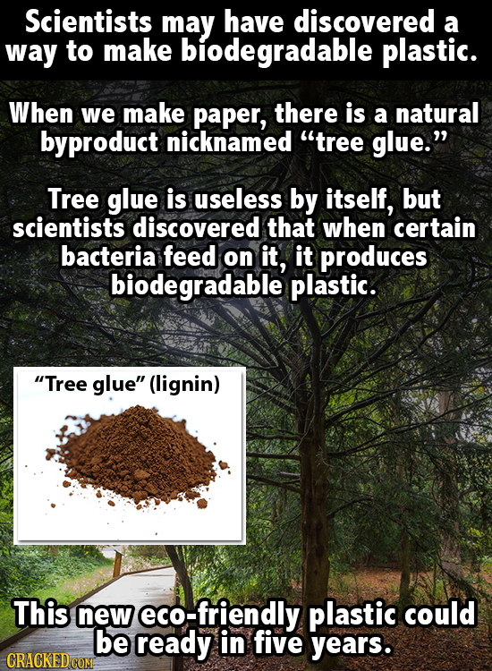 Scientists may have discovered a way to make biodegradable plastic. When we make paper, there is a natural byproduct nicknamed tree glue. Tree glue