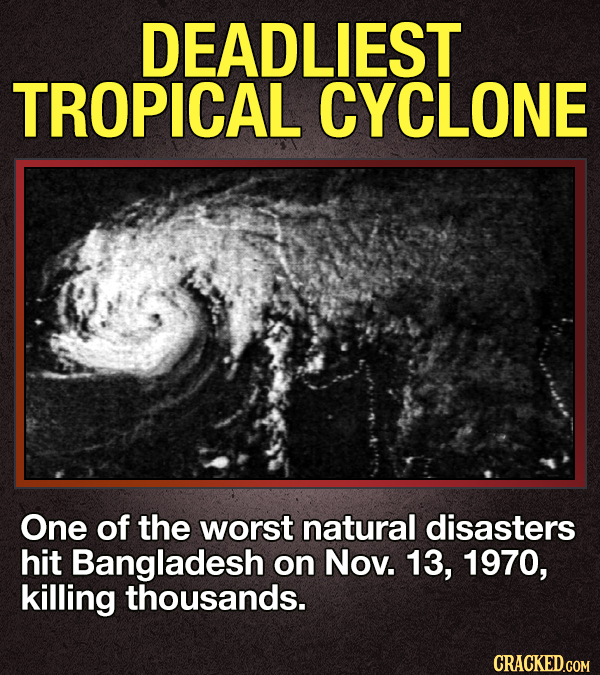 45 Random Trivia Tidbits About the 1970s That Should Have Been on ‘Battle of the Network Stars’