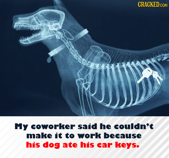 My coworker said he couldn't make it to work because his dog ate his car keys.