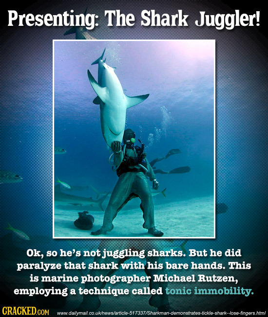 Presenting: The Shark Juggler! Ok, so he's not juggling sharks. But he did paralyze that shark with his bare hands. This is marine photographer Michae