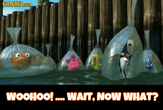 WOOHOO!.... WAIT, NOW WHAT?