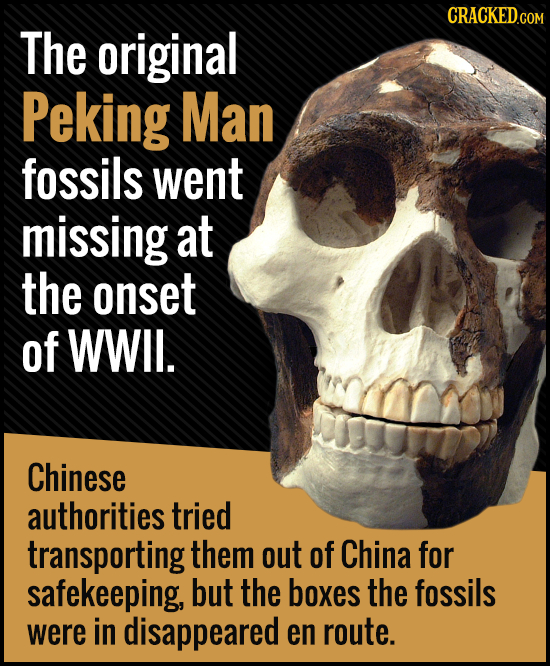 The original Peking Man fossils went missing at the onset of WWIL. Chinese authorities tried transporting them out of China for safekeeping, but the b