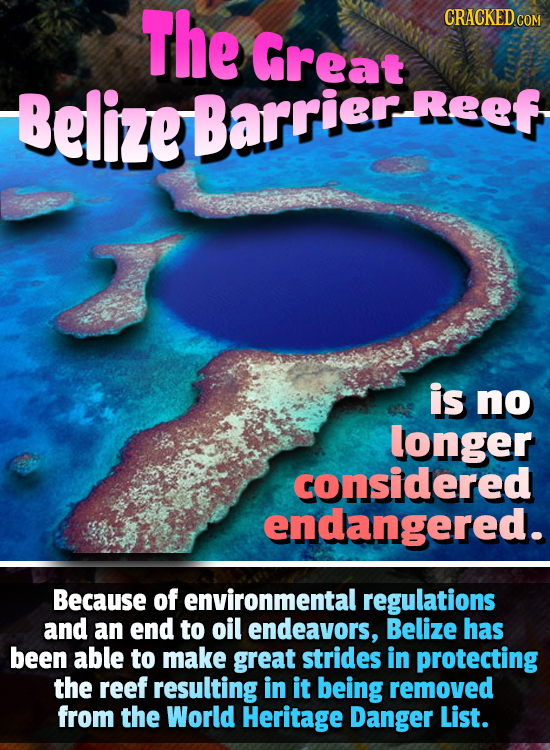 The CRACKEDc COM Great Belize Barrier Reef is no longer considered endangered. Because of environmental regulations and an end to oil endeavors, Beliz