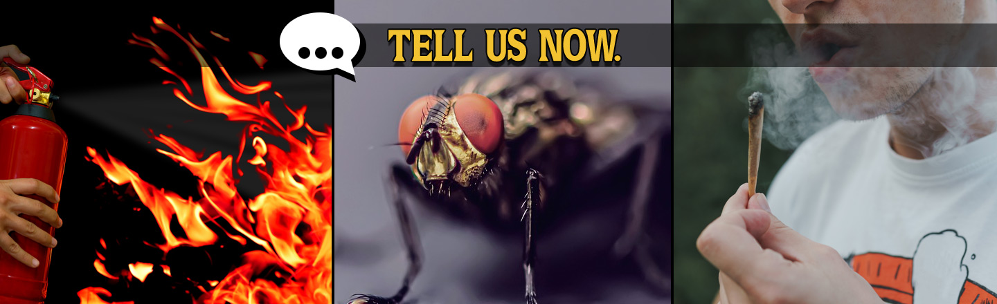 Tell Us Now: Horrifying Summer Job Stories