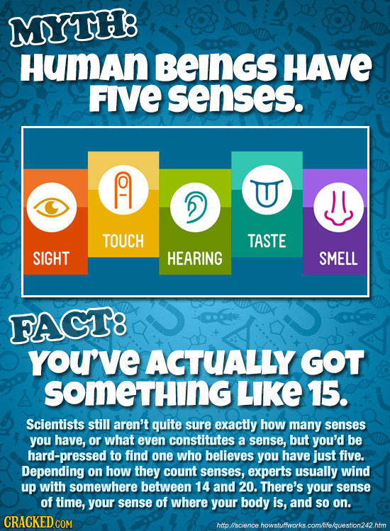 MYTH8 Human BEINGS HAVE FIVE senses. A U J TOUCH TASTE SIGHT HEARING SMELL FAGT8 YoU'VE ACTUALLY GOT SOMeTHING LIKE 15. Scientists still aren't quite 
