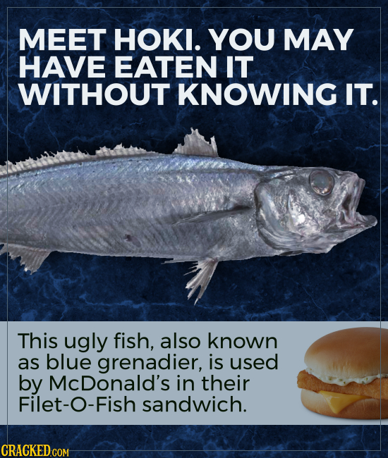 MEET HOKI. YOU MAY HAVE EATEN IT WITHOUT KNOWING IT. This ugly fish, also known as blue grenadier, is used by McDonald's in their Filet-O-Fish sandwic