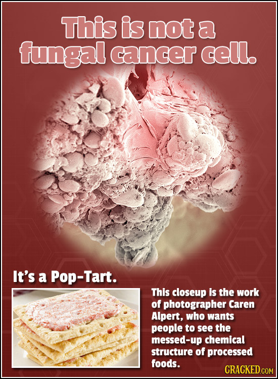 This is not a fungal cancer cell. It's a Pop-Tart. This closeup is the work of photographer Caren Alpert, who wants people to see the messed-up chemic