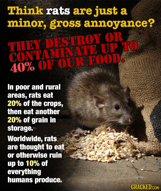 29 Unexpected Stats That Prove the World Is Weird