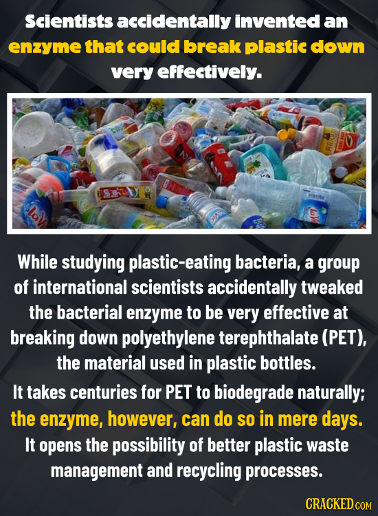 Scientists accidentally invented an enzyme that could break plastic down very effectively. While studying plastic-eating bacteria, a group of internat