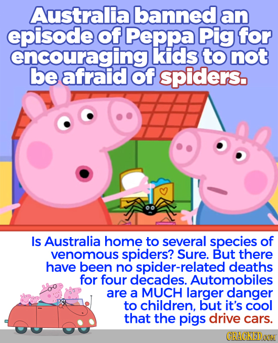 Australia banned an episode of Peppa Pig for encouraging kids to not be afraid of spiders. Is Australia home to several species of venomous spiders? S
