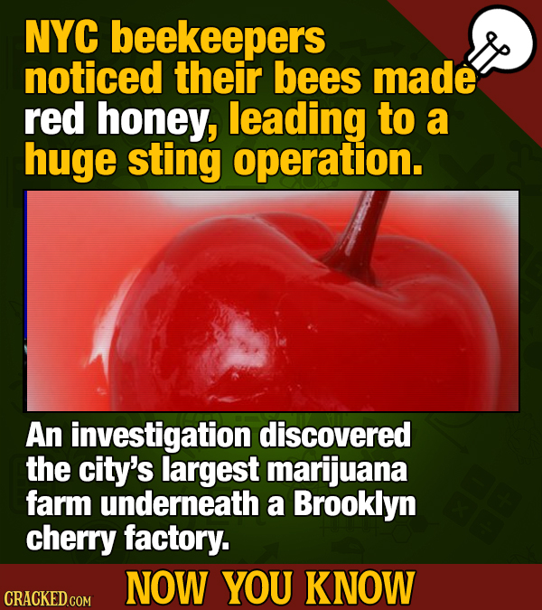 14 Facts About Marijuana To Blaze Upon