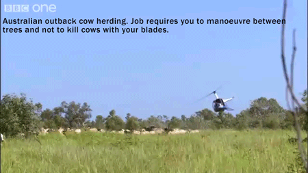 15 Terrifying Jobs It's Shocking Anyone Has the Balls to Do