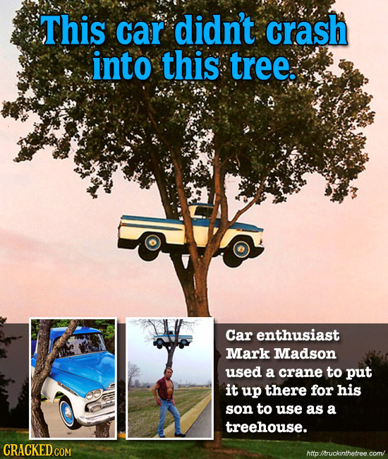 This car didn't crash into this tree. Car enthusiast Mark Madson used a crane to put it up there for his son to use as a treehouse. CRACKED COM http:/