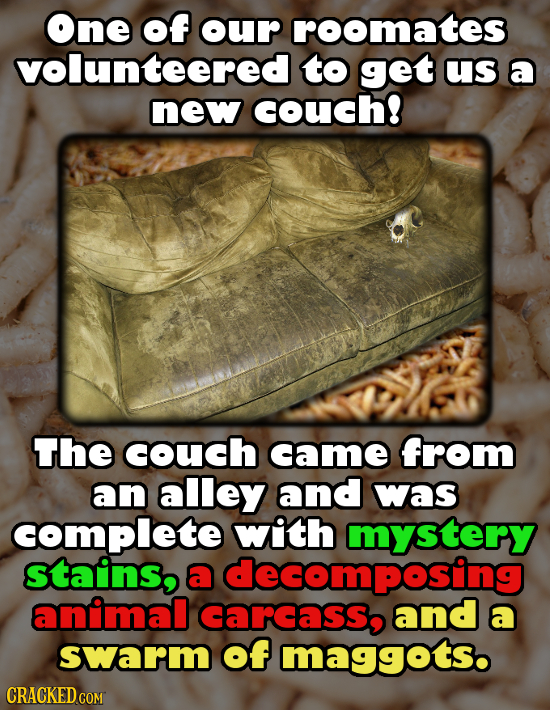 One of our roomates volunteered to get us a new couch! The couch came from an alley and was complete with mystery stains, a decomposing animal carcass
