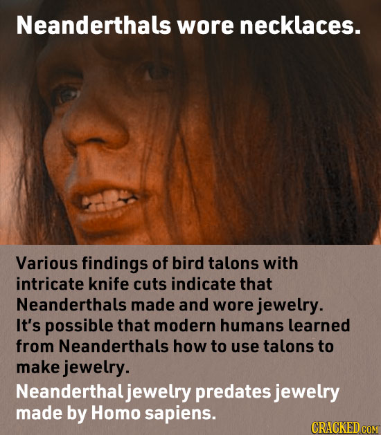 Neanderthals wore necklaces. Various findings of bird talons with intricate knife cuts indicate that Neanderthals made and wore jewelry. It's possible