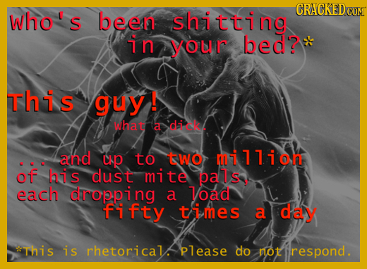 CRACKED who's been shitting CONT in your bed? This guy! whae a dice and up to tWo million of his dust mite pals each dropping a Voad fifty times a day