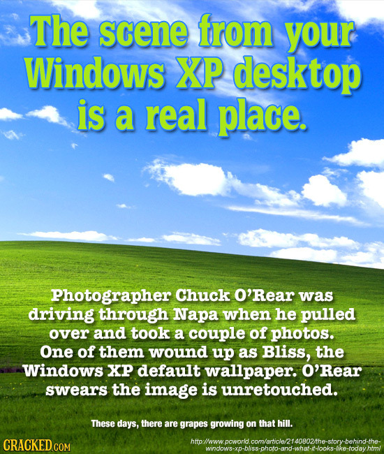 The scene from your Windows XP desktop is a real place. Photographer Chuck O'Rear was driving through Napa when he pulled over and took a couple of ph