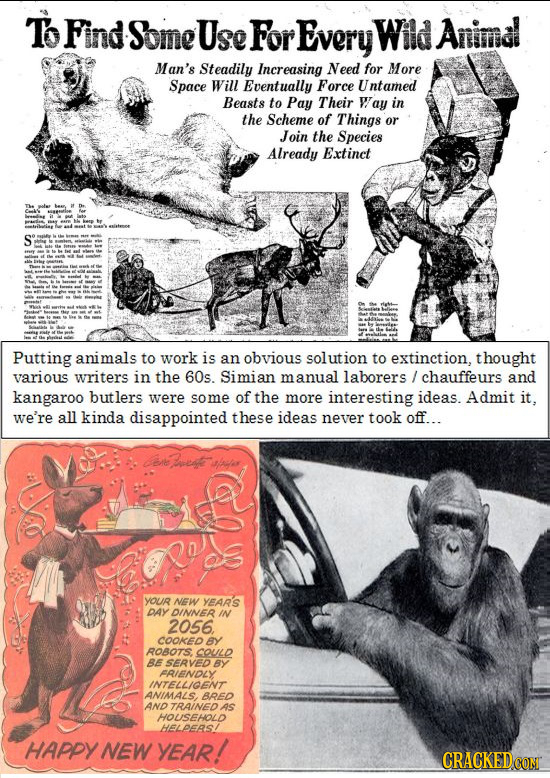 T Find Some Use For Every Wild Animal Man's Steadily Increasing Need for More Space Will Eventually Force U ntamed Beasts to Pay Their Way in the Sche