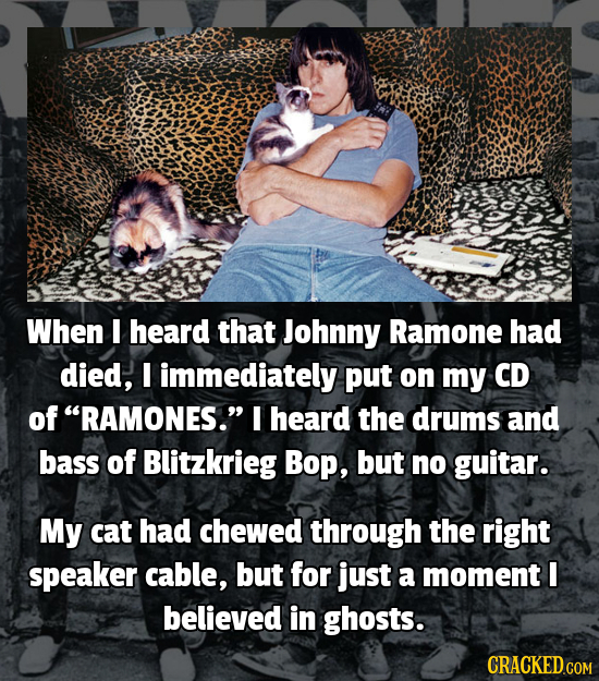 When I heard that Johnny Ramone had died, I immediately put on my CD of RAMONES. I heard the drums and bass of Blitzkrieg Bop, but no guitar. My cat