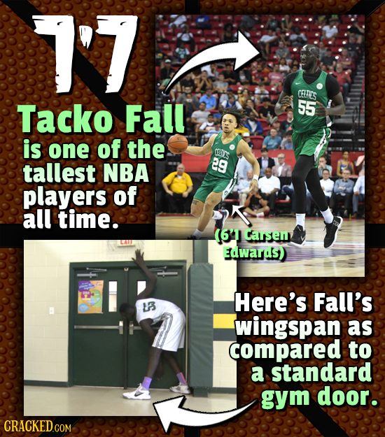 1'7 CETIES Tacko Fall 55 is one of the CELICS tallest NBA 29 players of all time. (641 Carsem Edwards) Here's Fall's L3 wingspan as compared to a stan