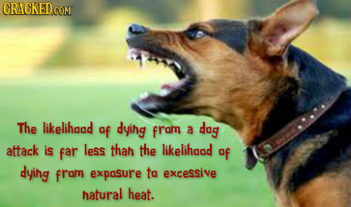 CRACKEDC COM The likelihgad of dying from a dag attack is far less thah the likelihood Of dying from exposure to excessive hatural heat.