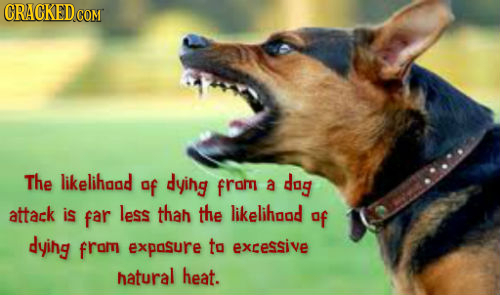 CRACKEDC COM The likelihgad of dying from a dag attack is far less thah the likelihood Of dying from exposure to excessive hatural heat. 