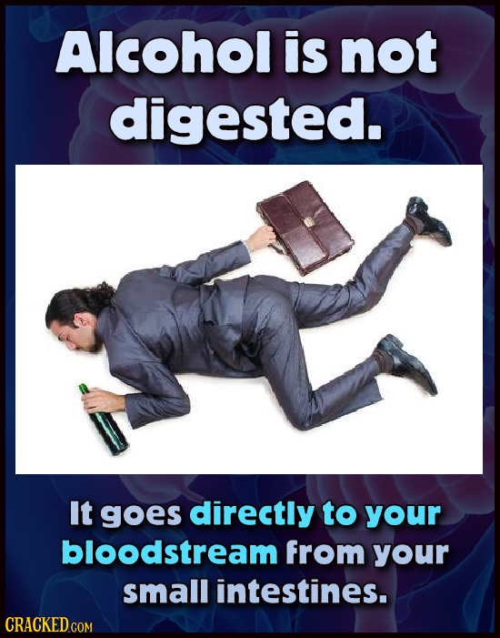 Alcohol is not digested. It goes directly to your bloodstream from your small intestines.