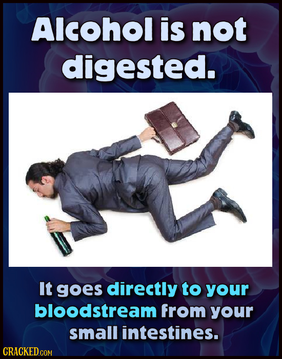 Alcohol is not digested. It goes directly to your bloodstream from your small intestines. 