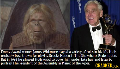 Emmy Award winner James Whitmore played a variety of roles in his life. He is probably best known for playing Brooks Hatlen in The Shawshank Redemptio