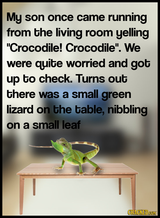 My son once came running from the living room yelling Crocodile! Crocodile. We were quite worried and got up to check. Turns out there was a small g