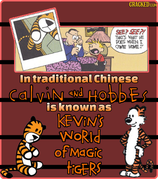 CRACKED COM SEE? SEE2 THAT'S NHAT HE DOES WHEN I CONIE HOME!! In traditionalchinese Lvin aNd HobbES is known as KEViN'S WoRId of MaGic tiGERS