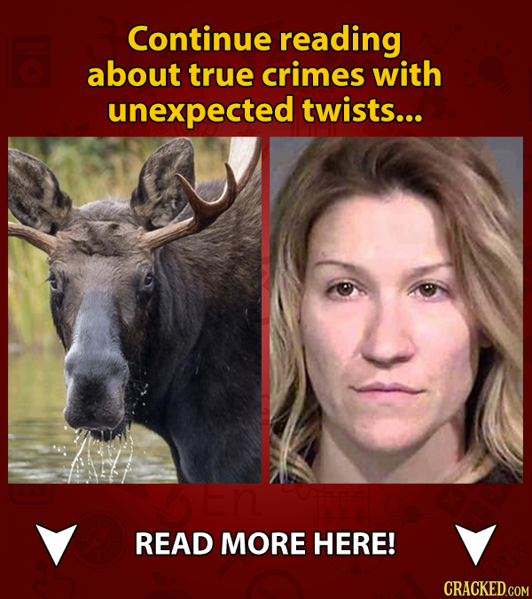 Continue reading about true crimes with unexpected twists... READ MORE HERE!