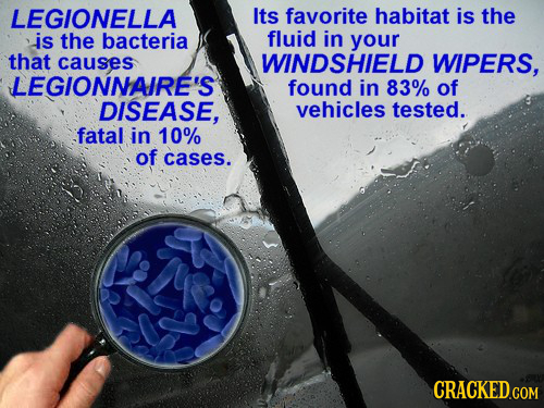 LEGIONELLA Its favorite habitat is the is the bacteria fluid in your that causes WINDSHIELD WIPERS, LEGIONNAIRE'S found in 83% of DISEASE, vehicles te