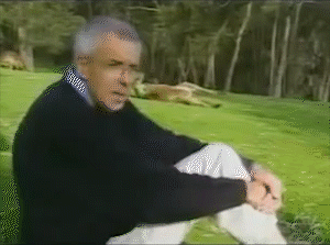 15 Hilarious Moments Accidentally Caught During Live Events