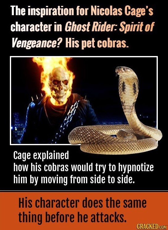 The inspiration for Nicolas Cage's character in Ghost Rider: Spirit of Vengeance? His pet cobras. Cage explained how his cobras would try to hypnotize